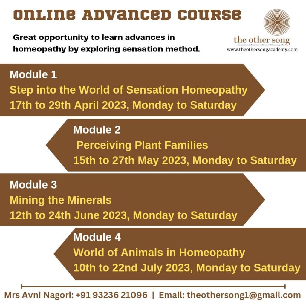 12-Day Online Advanced Course
